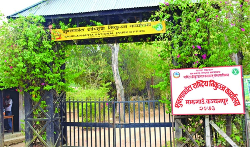 कञ्चनपुरको मौरीफाँटामा पाटेबाघको त्रास