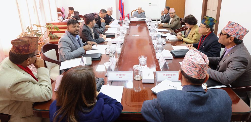 प्रधानमन्त्रीको निर्देशन- राजनीतिमा लाग्नेले तत्काल मन्त्री छोड्नुहोस्