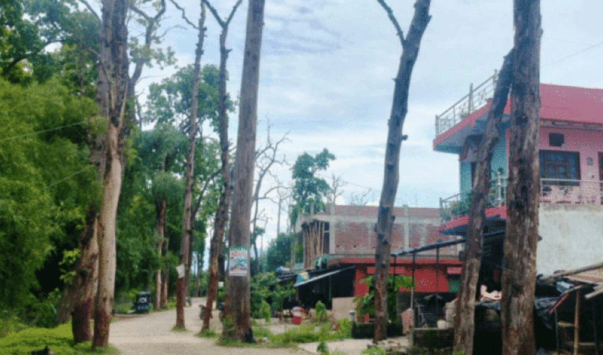 सुविधा र रोजगारी खोज्दै पहाडबाट तराई झर्ने बढे