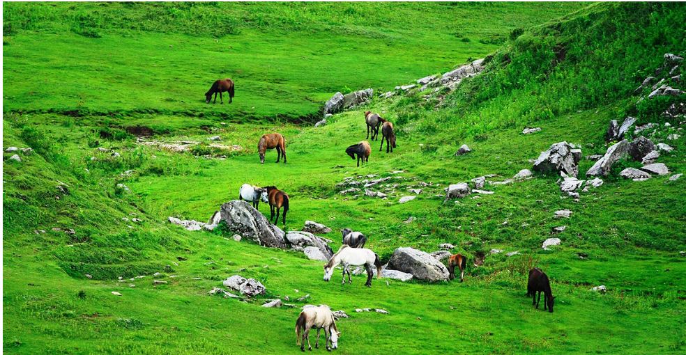 खप्तड विकास बोर्डको अध्यक्षमा जमुना चन्द नियुक्त
