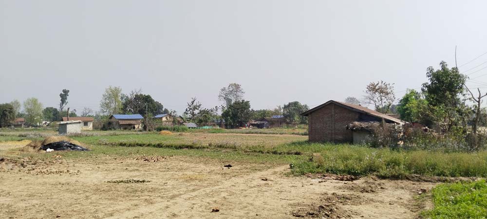 स्थायी बसोबास र रोजगारी पाउने आसमा कैलालीका मुक्त कमैया