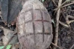 कैलालीमा ग्रिनेड विस्फोट : एक नेपाली सेनाको मृत्यु