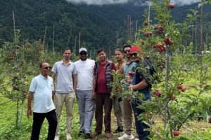 बाजुराको अर्ग्यानिक स्याउ बजारमा आउँदै, बगैँचामा पर्यटक र ग्राहकको चहलपहल बढ्यो