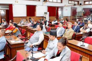 दलित समुदायसँग गरिएको प्रतिबद्धता कार्यान्वयन गर्न सांसदहरुको माग