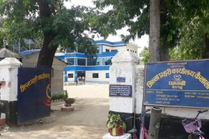 गतआवमा कैलालीमा सङ्गठित तथा आर्थिक अपराधसम्बन्धी घटना धेरै
