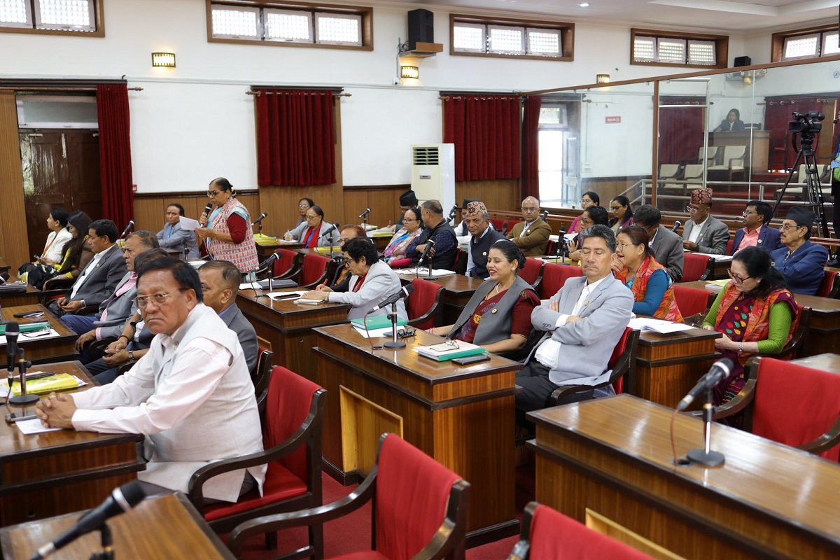 पेट्रोलियम पदार्थको कृत्रिम अभाव गराउनेमाथि कारबाही गर्न माग